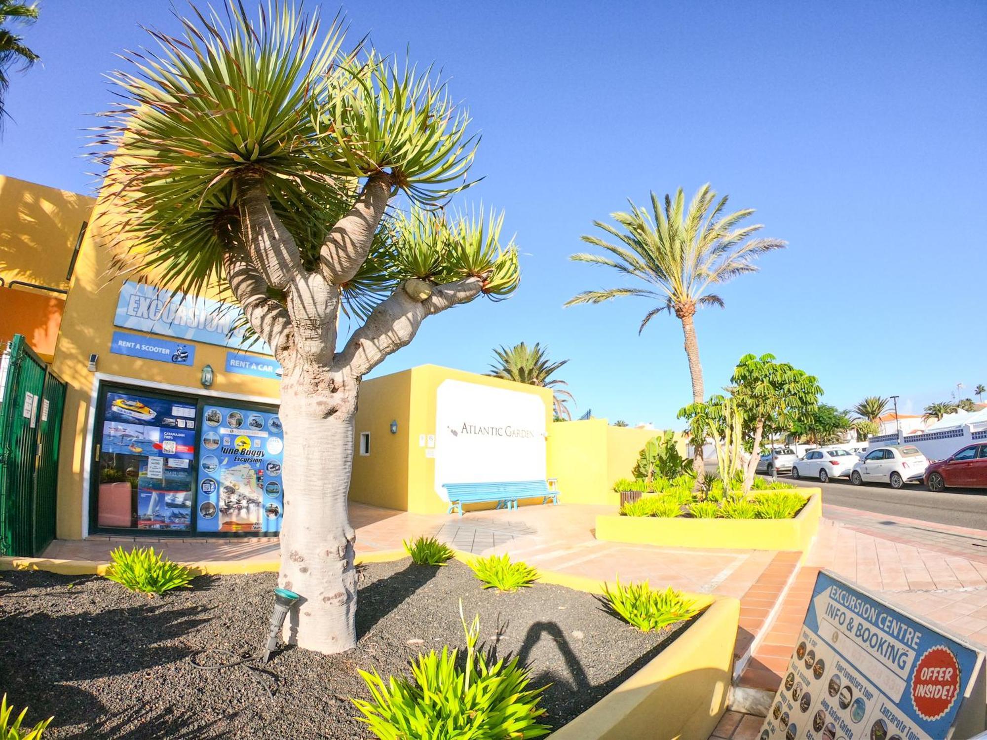 Drago 1 Atlantic Garden Apartment Corralejo Exterior photo